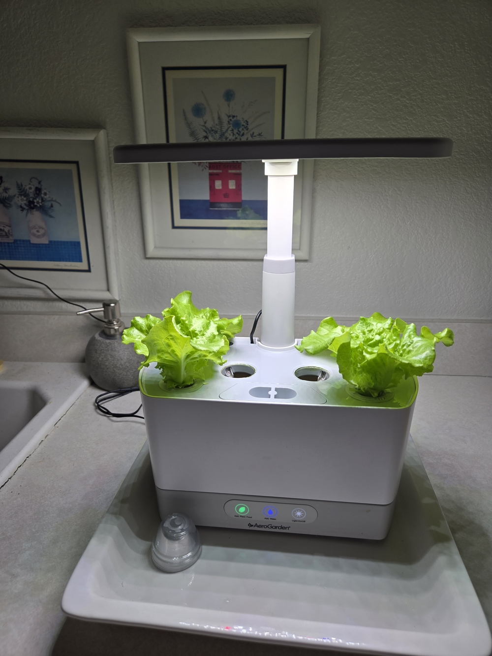 Indoor Hydroponic Aerogarden LED Grow System - White